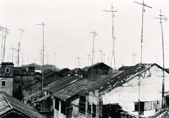 佛山70年代电影,佛山本土电影