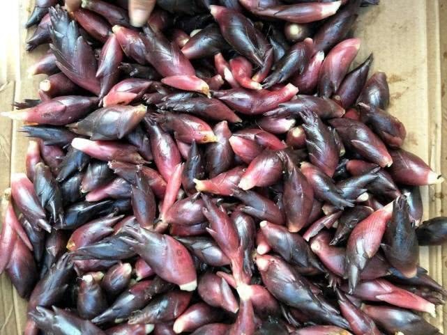 开花就不能吃了，味道酷似生姜，国内吃它的不多，常出口日本