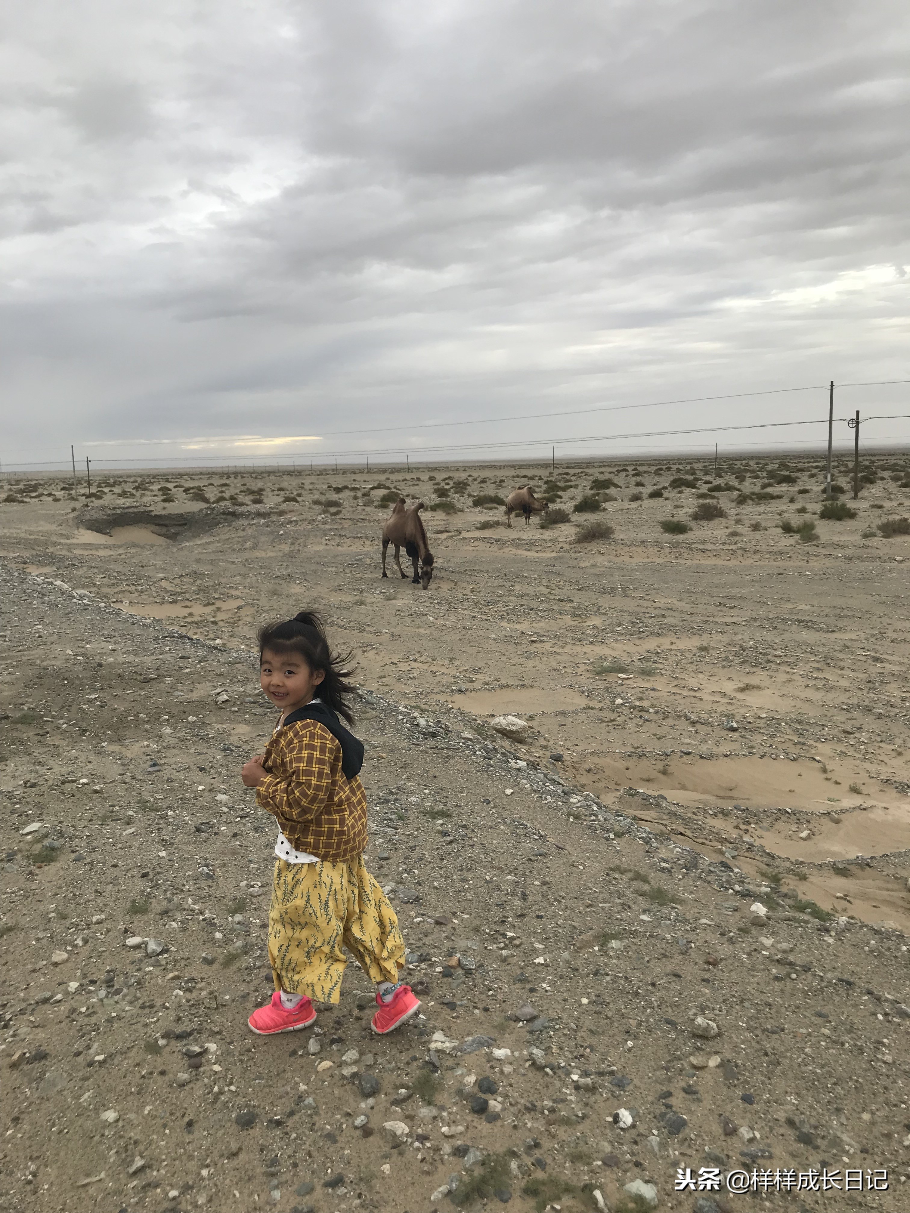 最新版新藏线叶城拉萨骑行攻略,219新藏线自驾游从叶城出发