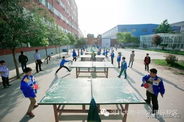 洛阳市欧亚国际学院,洛阳欧亚国际学校靠谱吗