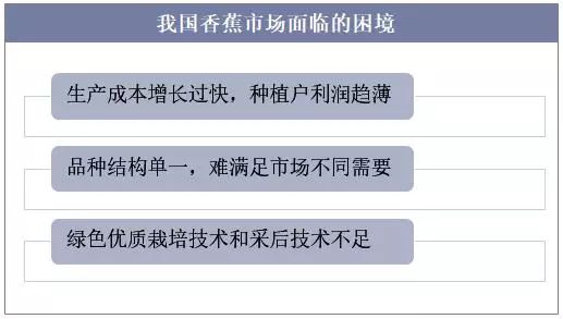 香蕉发展史,香蕉起源与进化