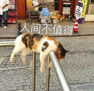 canmake有什么好东西,canmake宣布停产了吗