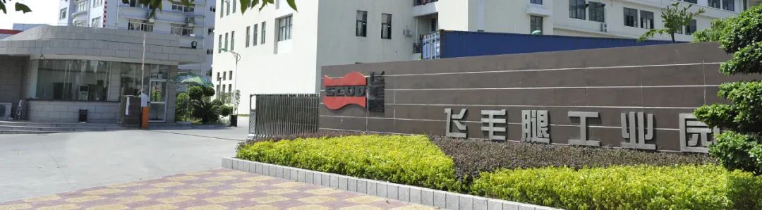 飞毛腿老板方金福建哪里人,飞毛腿集团董事长方金多大