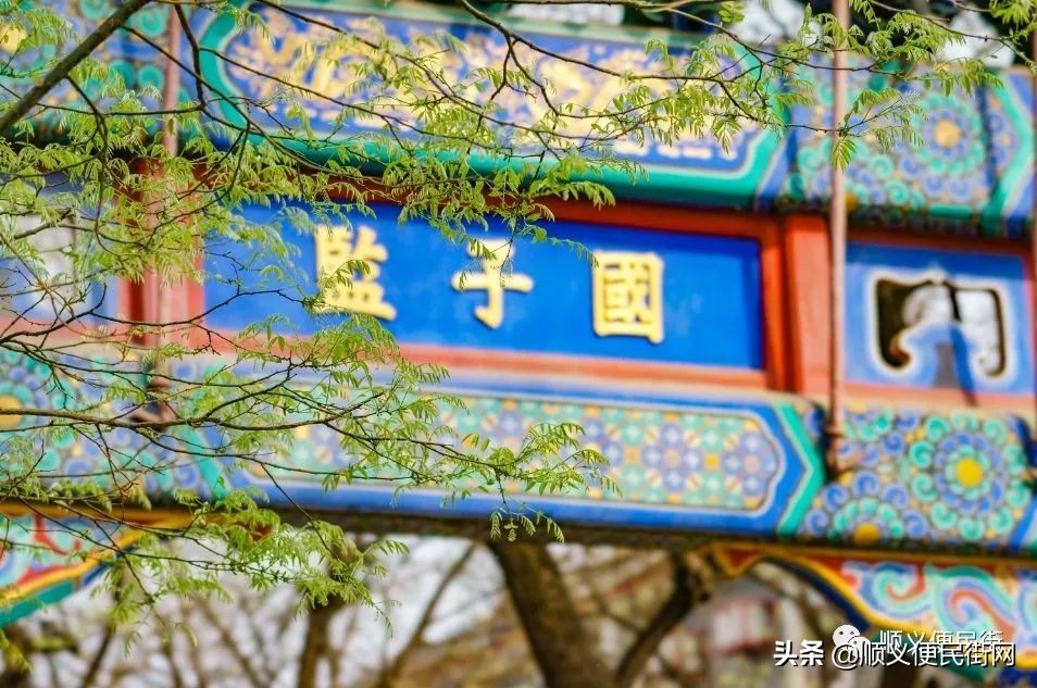 顺义65岁免费景点,顺义2022年免费景点