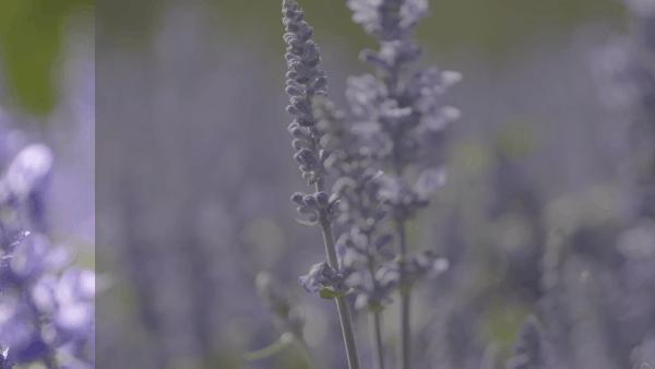 松下全画幅微单s5对焦,松下s5全画幅微单变焦镜头推荐