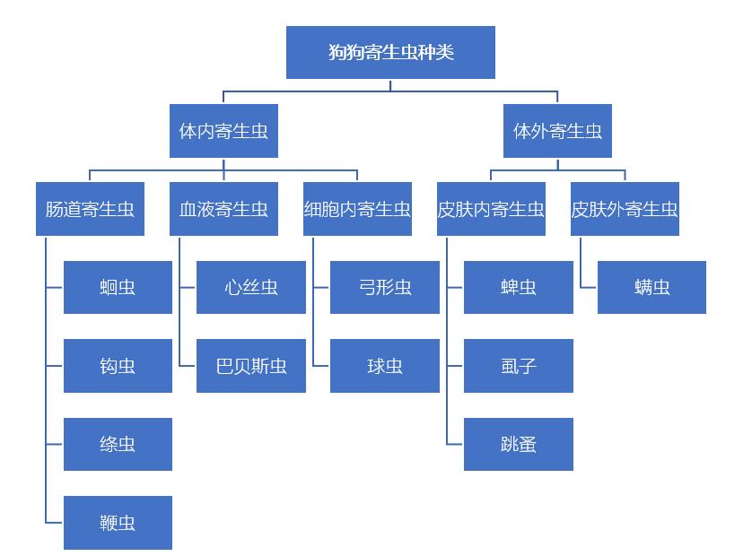 狗狗体内外寄生虫有哪些?看完这篇再也不用为这事儿发愁了