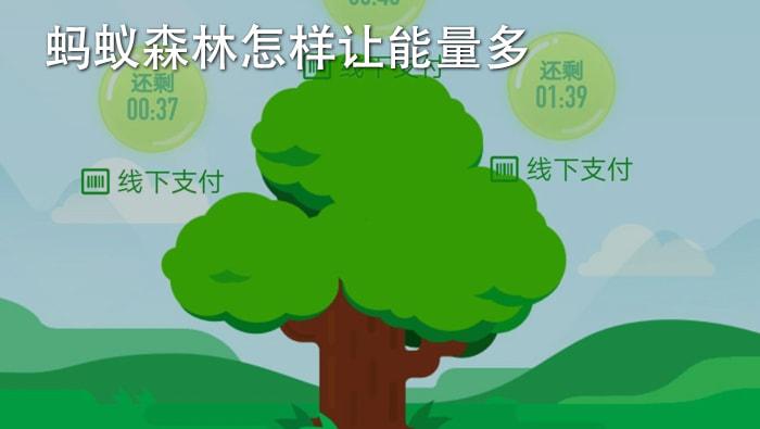 40万美食主播怎么赚钱,年入百万美食博主