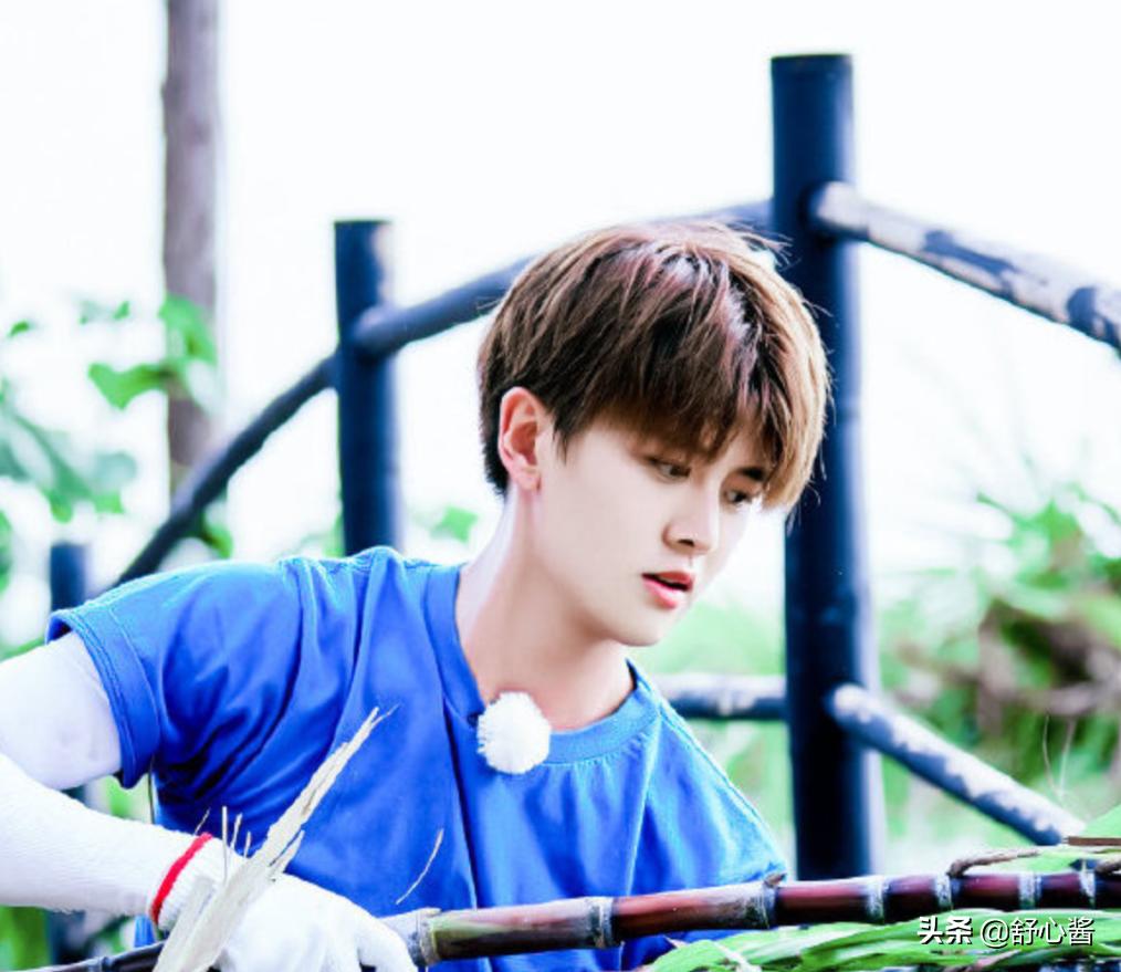 向往的生活任嘉伦谭松韵许魏洲,向往的生活任嘉伦掉河里了