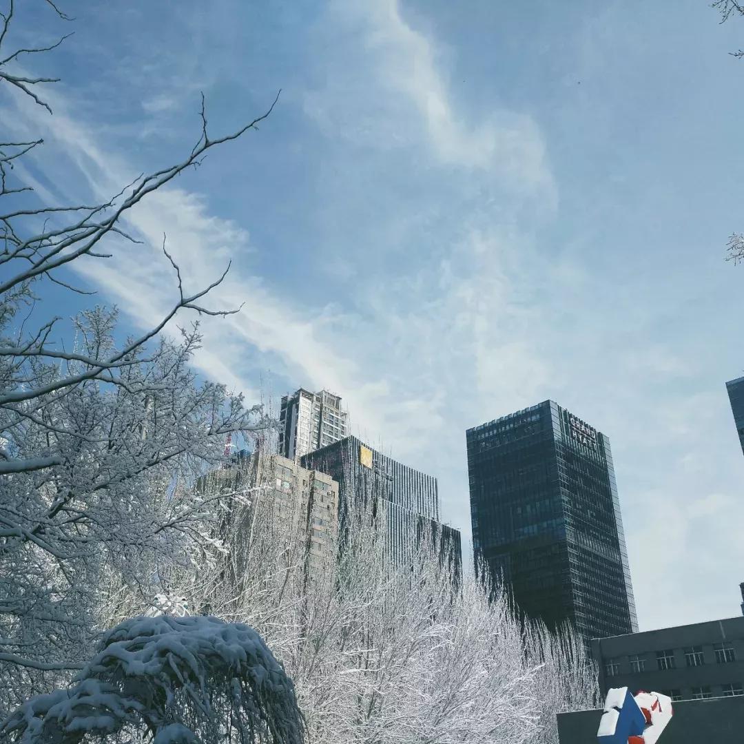 辽宁大学和鲁迅美术学院,辽宁省鲁迅美术学院是985吗