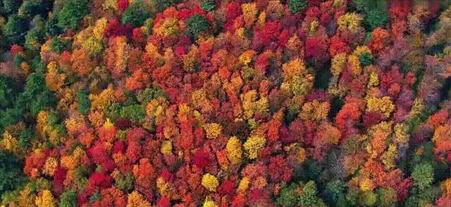 黑龙江旅游小众胜地,黑龙江值得旅游的10个地方