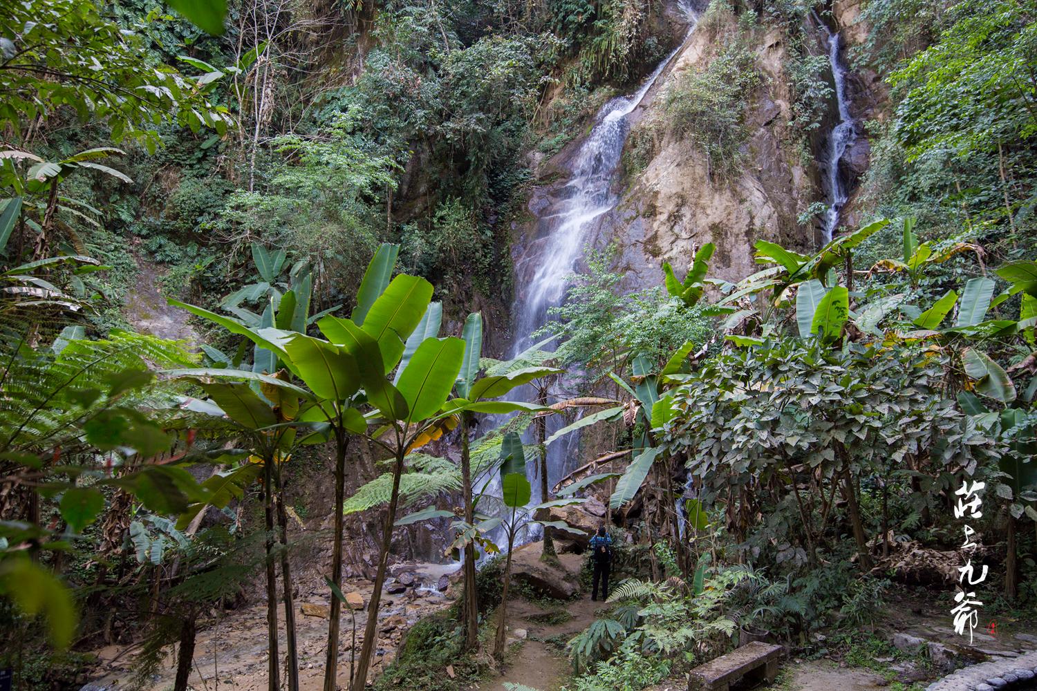 高黎贡山秘境森林,高黎贡山樱花谷温泉