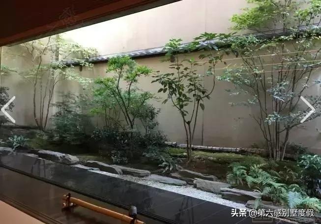 日本不起眼的百年老店,日本的百年老店有多少个