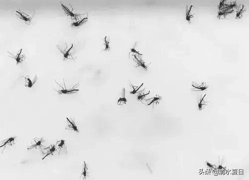 方形紫光灯灭蚊神器,新款灭蚊灯家用物理灭蚊神器