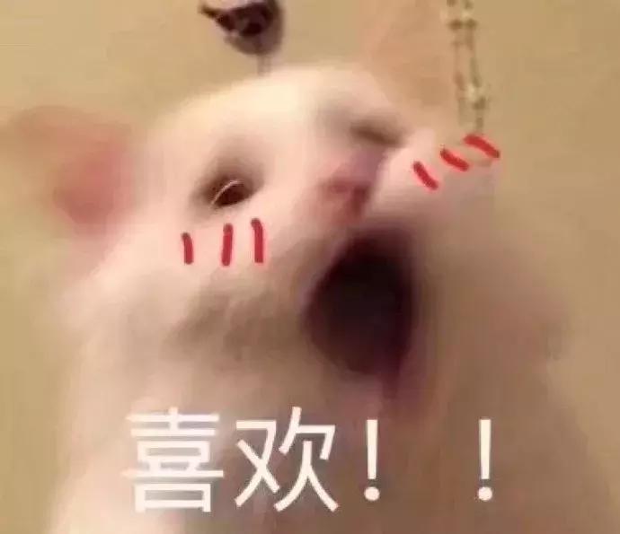 年营业额200亿的廉价批发市场，代购手里一半的假包都来自这里