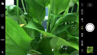 手机摄影拍照效果,手机拍照技巧和手机摄影分享