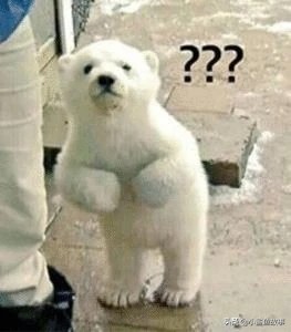 雷佳音解释优衣库,雷佳音把优衣库穿成海澜之家