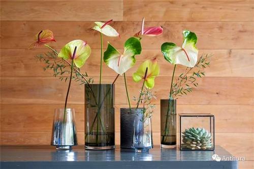 花艺插花常见花名有哪些,鲜花插花的技巧有哪些