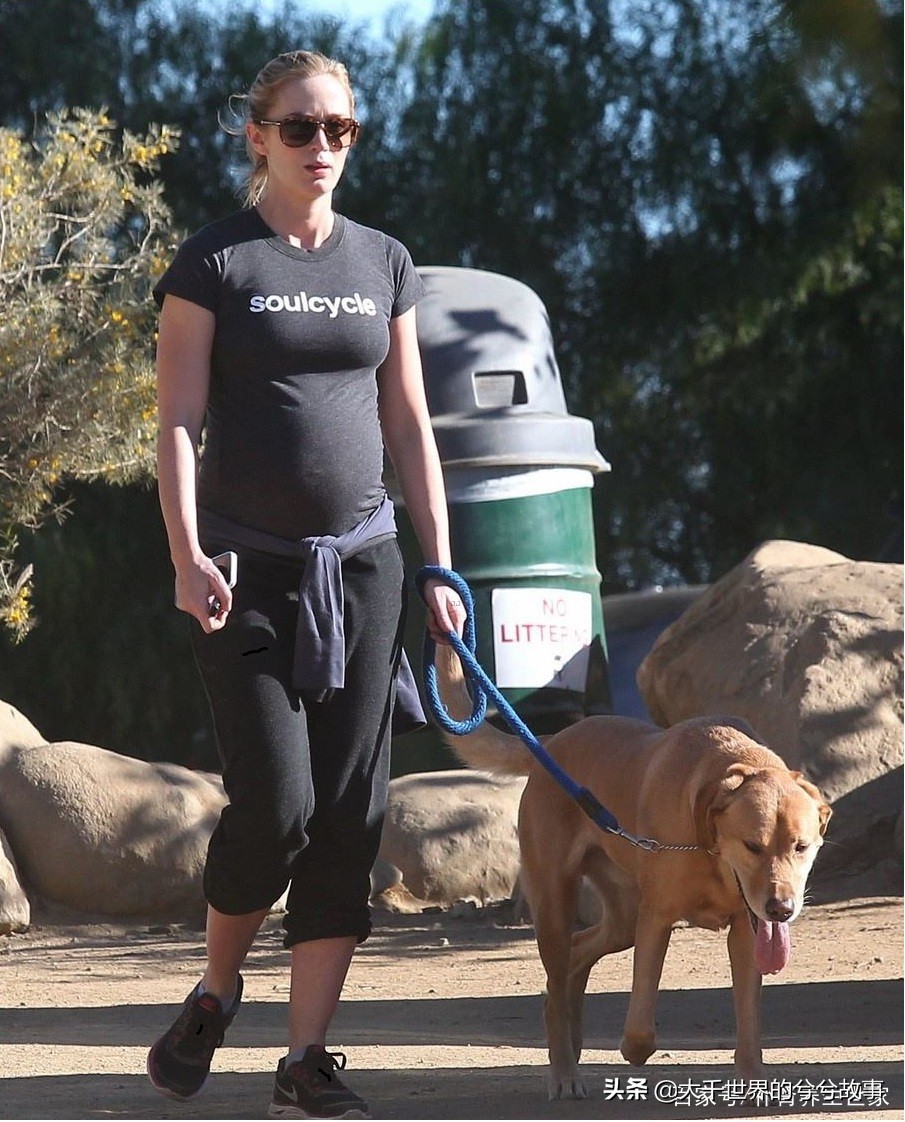 孕早期能接触狗狗吗,怀孕一定要远离狗狗吗