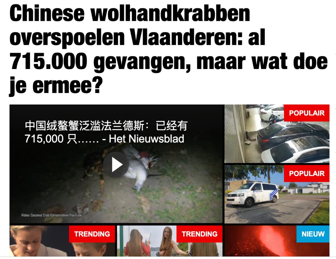 比利时大闸蟹泛滥怎么回事,来聊聊野生海鲜