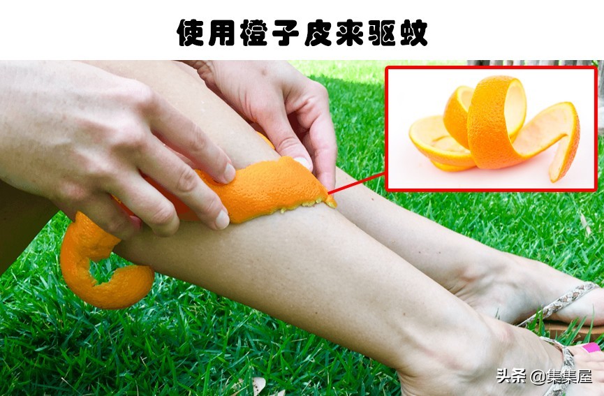 求生救命小技巧,求生小妙招100个