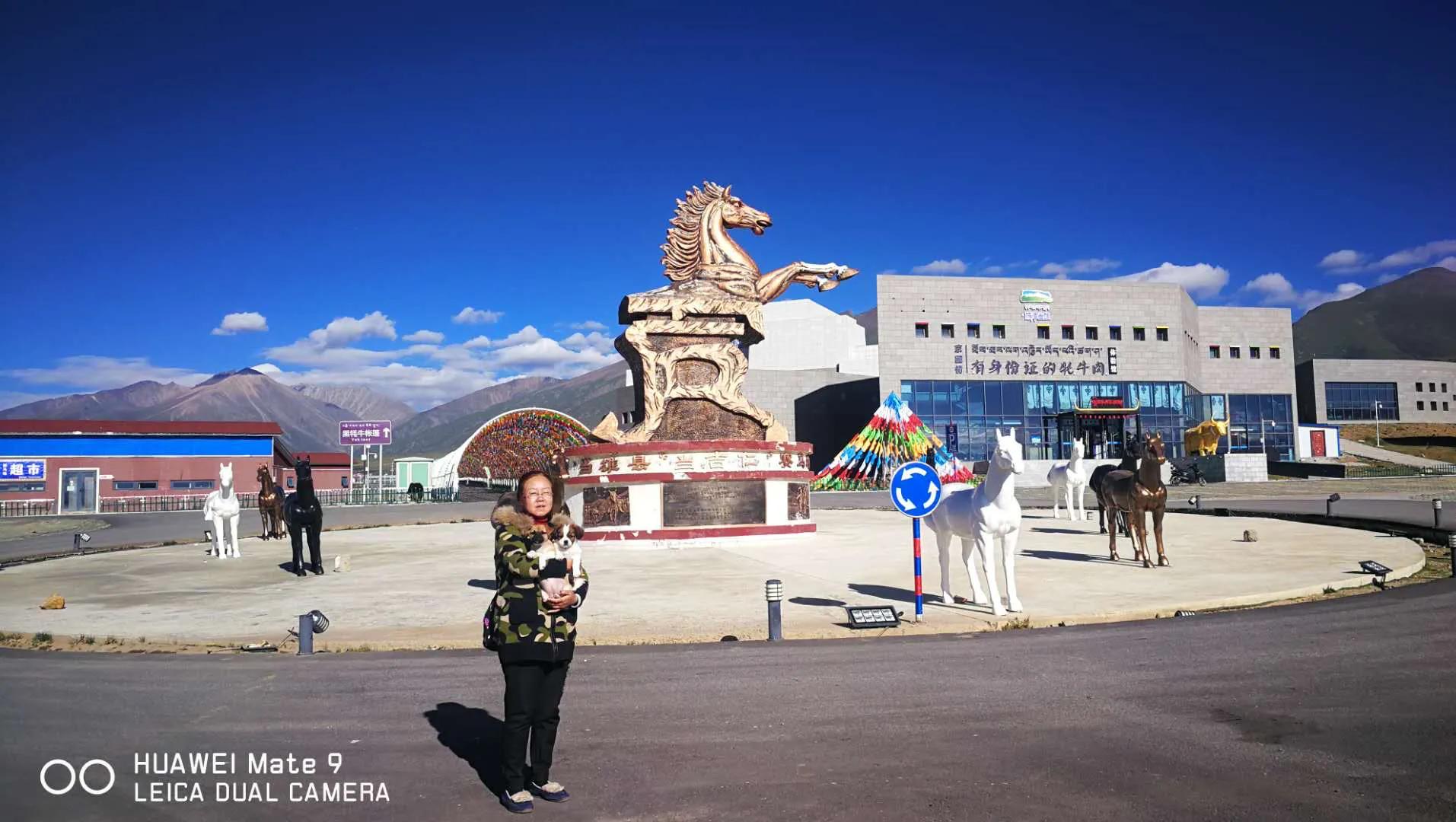 纳木错川藏线旅行,川藏线纳木错旅游攻略