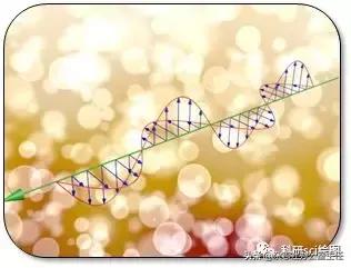 科研论文作图系列教程第02集,科研绘图教程交流