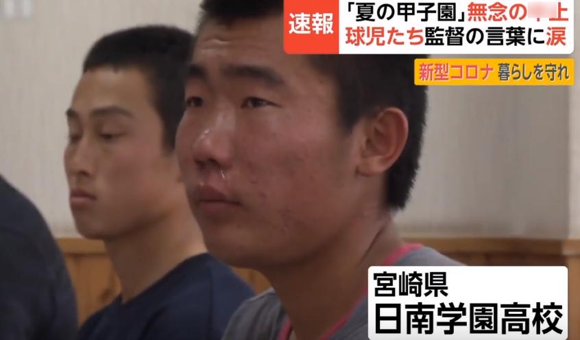 日本夏季甲子园停办,甲子园大哭