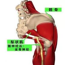 钱包越厚，屁股越痛？这是真的吗？！