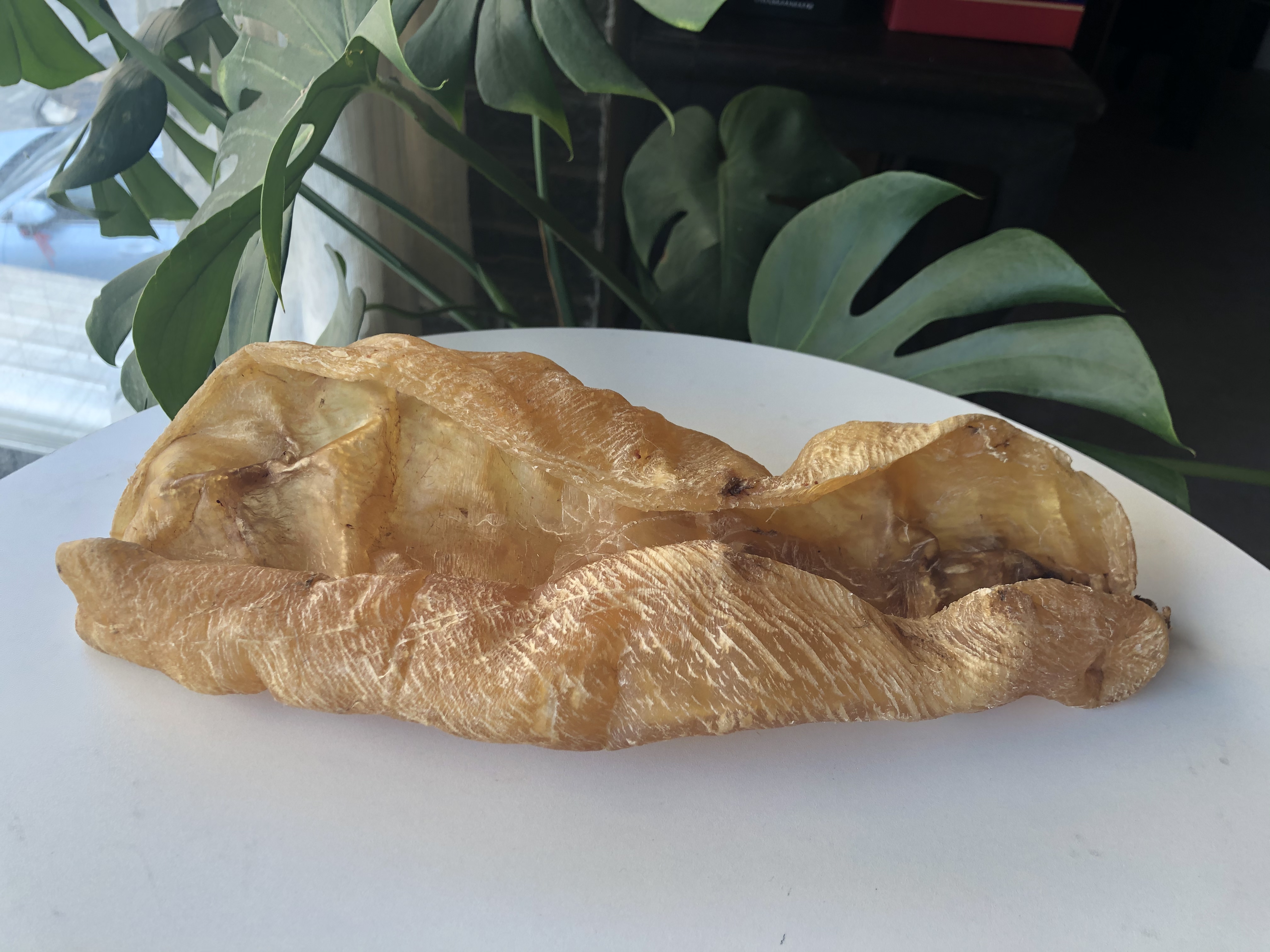 家庭食用哪种黄花胶比较好,官栈轻食花胶和即食花胶区别