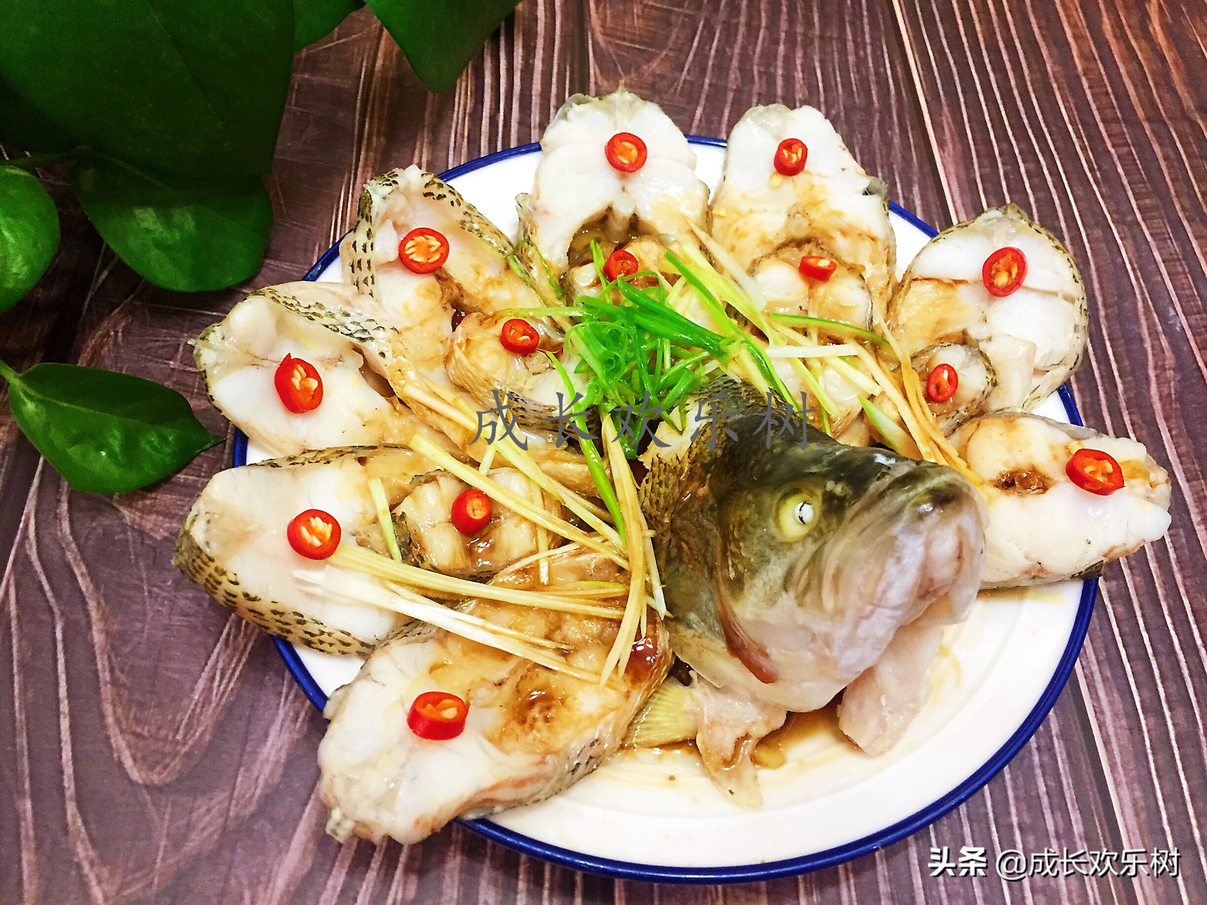 年夜饭必备的家常菜10道鱼的做法,怎样做鱼才好吃年夜饭
