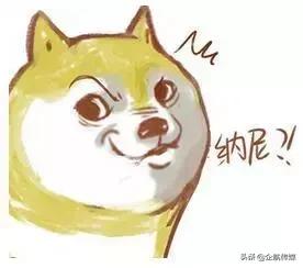 德高防水腻子和耐水腻子一样吗,耐水腻子和防水腻子的区别