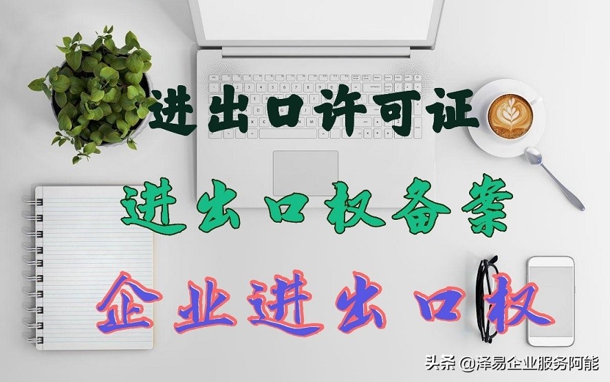 公司办理进出口权,上海杨浦办理进出口权