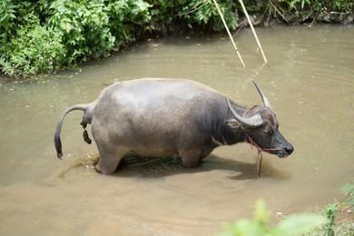 野外浑浊的水烧开能喝吗,野外水都存在哪些危害
