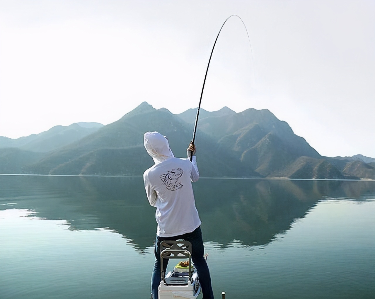弹簧钩钓鲢鳙的最佳钩距,弹簧钩钓鲢鳙最佳钩距