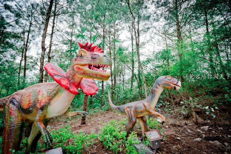 4天3晚只要800贵州攻略,4天3晚有什么好玩的地方