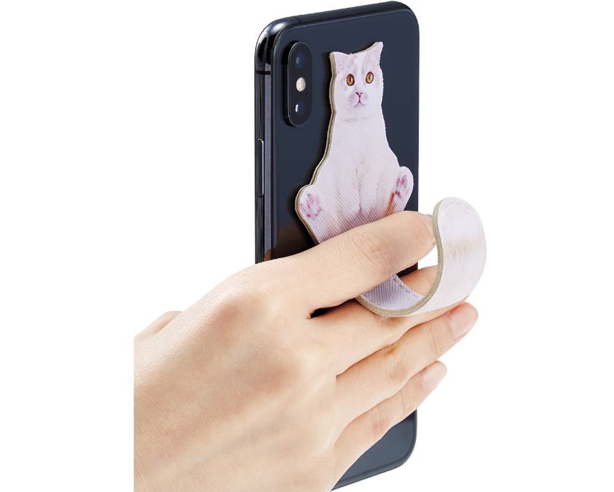 日本人又来骗猫奴们的钱啦！但我心甘情愿掏钱了！