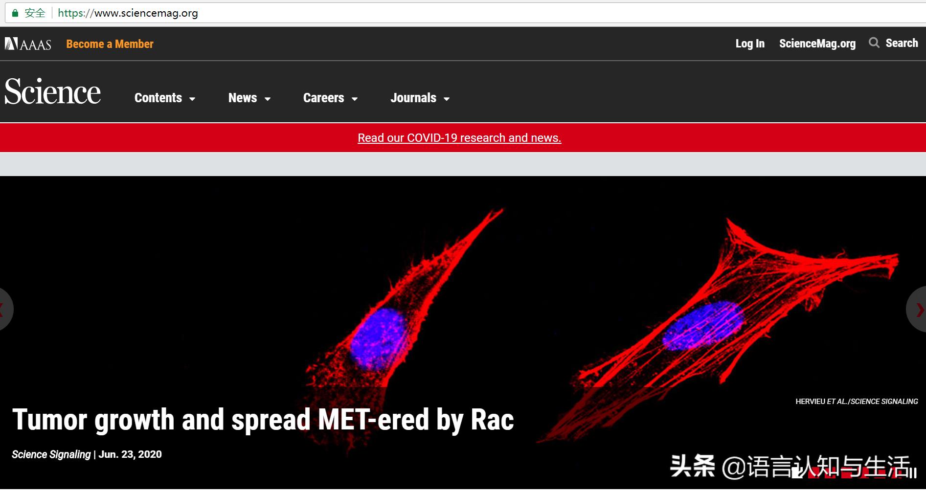 电子期刊免费观看,电子书期刊