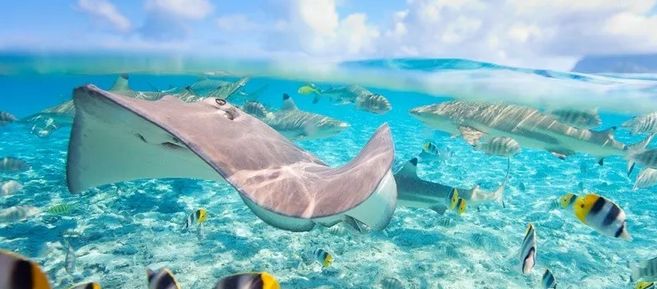 大溪地离天堂近吗,离天堂最近的地方终极海岛大溪地