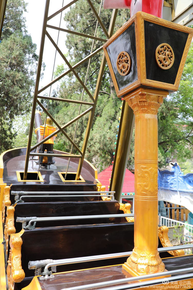 看洛阳牡丹花卉节,洛阳古都牡丹花展