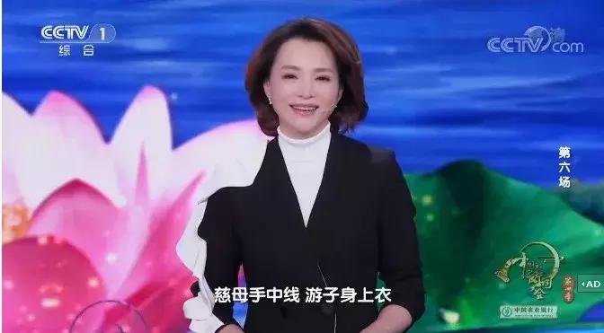 中国诗词大会董卿开场白蒹葭苍苍,董卿主持中国诗词大会开场白评价