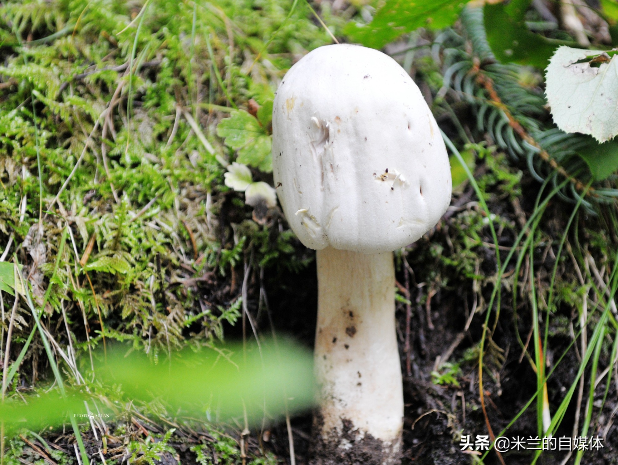 北京周边二日自驾游最佳路线图,北京周边自驾游两天一夜攻略草原