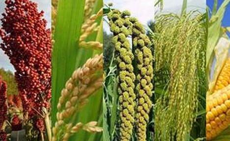 干草储存方法,干草储存湿度要求