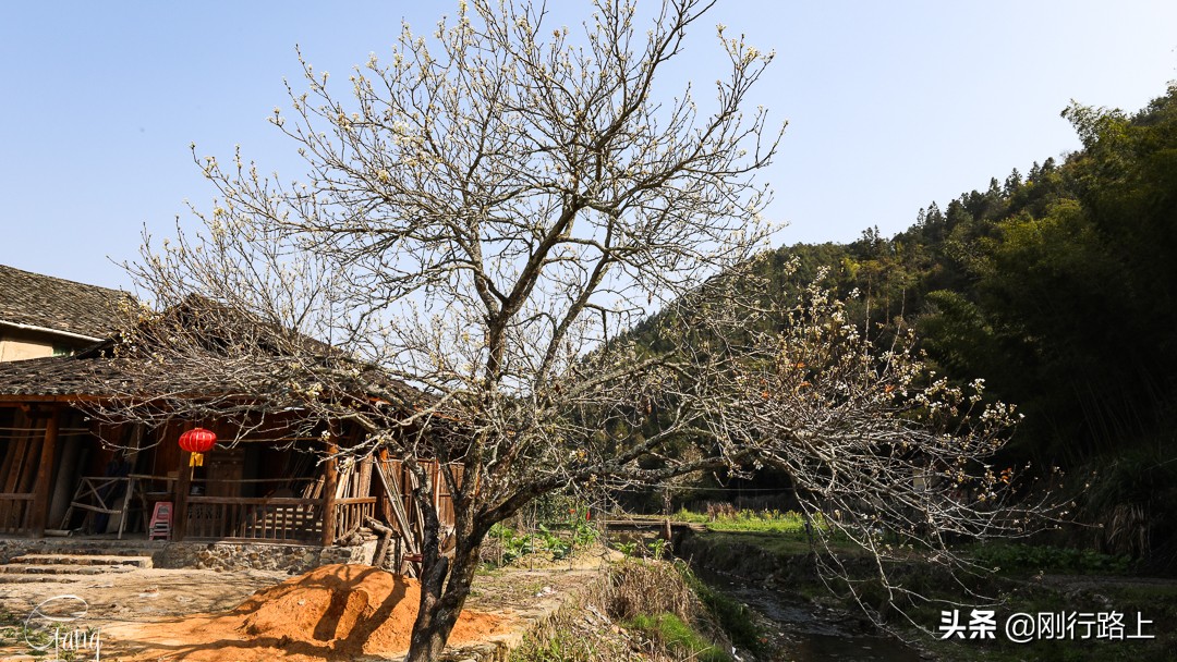 福建南靖土楼推荐理由,福建南靖土楼特色