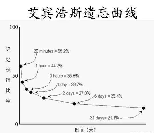怎样能把英语提高到母语水平,怎样将英语成绩提高