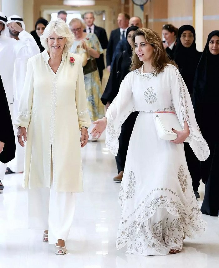 迪拜哈雅王妃出逃,迪拜出逃记哈雅公主