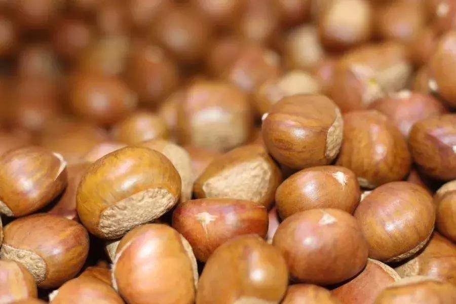 金味栗子在南京有几家店,好吃的栗子店有哪些