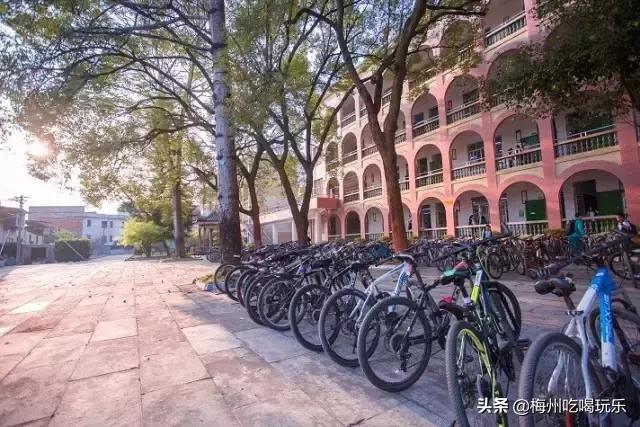 梅州市中学,梅州市梅州中学简介