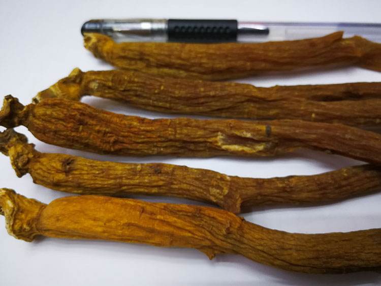 吉林长白山人参价格,长白山哪里的人参最好