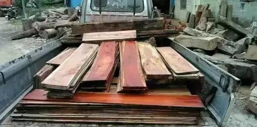 木材的发展与前景,木材界的黑马