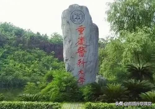 医生这个职业真的好吗,医生哪个职业比较吃香